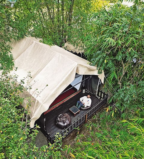 Chill out in the midst of nature